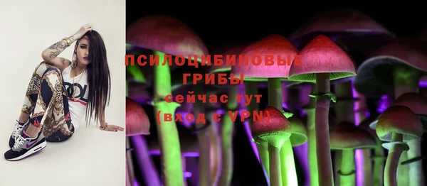 крисы Абинск