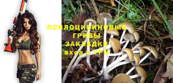 соль курить ск Абаза