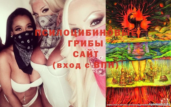 ешки Абдулино