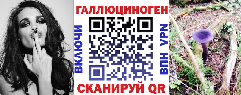 Галлюциногенные грибы MAGIC MUSHROOMS  купить наркоту  Полярный 